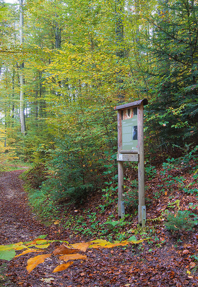 Waldlehrpfad & Skulpturenweg Teisendorf © RoHa Fotothek