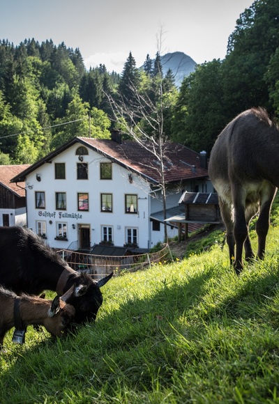 Fallmühle