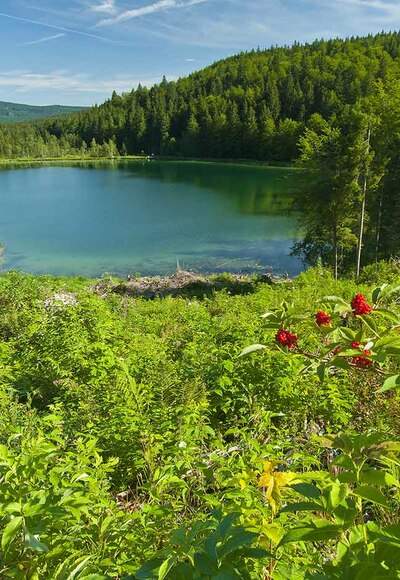 Roha Fotothek Fürmann - Frillensee
