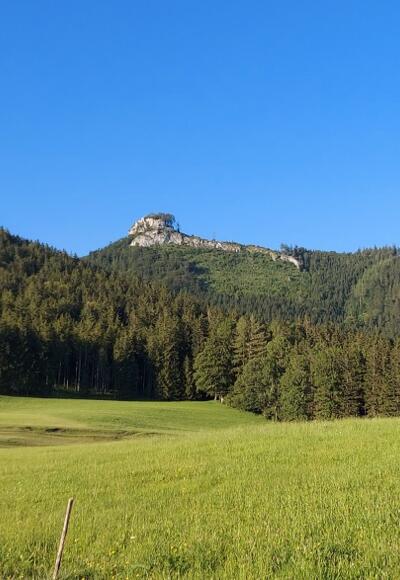 Lindaumauer - Blick von Platten