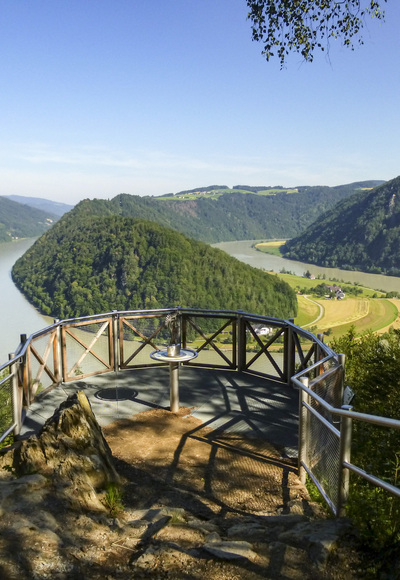 Schlögener Blick auf die Donauschlinge. Z05