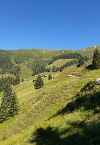 Katzsteinalm
