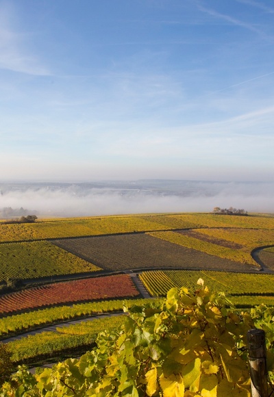 Weinberge bei Iphofen