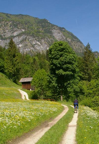Saalachtal-Radweg