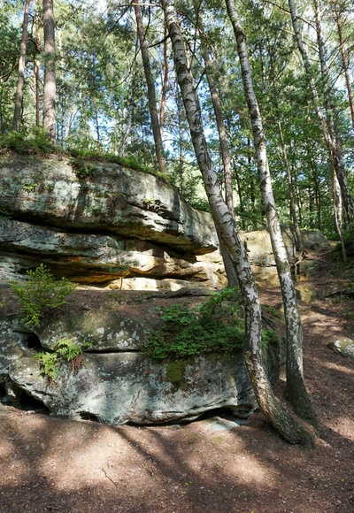 Felsen in der Einberger Schweiz