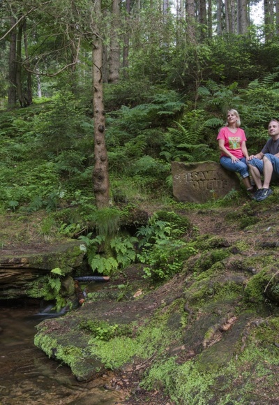 Elsavaquelle bei Mespelbrunn