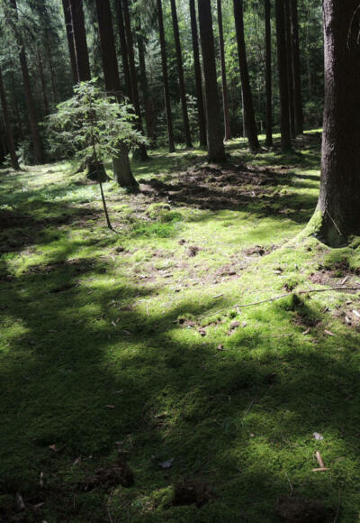 Unterwegs im Naherholungsgebiet Ebersdorf
