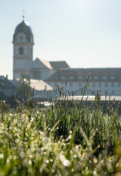 Die barocke Asam-Kirche in Rohr i.NB am Morgen