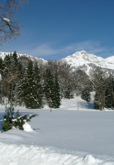 Feldkreuz mit Lattenberg
