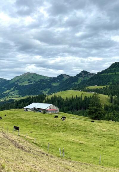 Vom Imberg mit Blick ins Ehrenschwanger Tal und die Nagelfluhkette