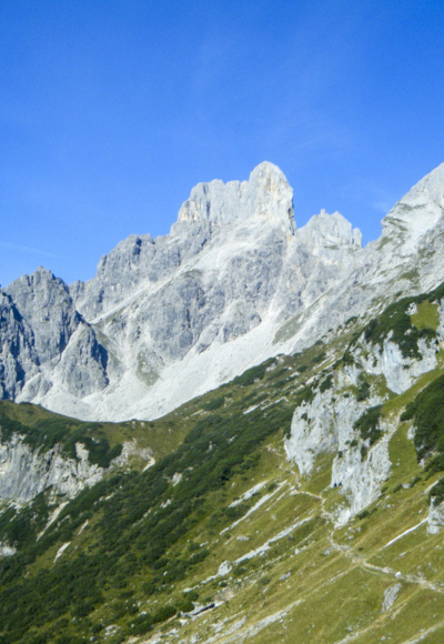 Bischofsmütze mit Bibelsteig. Z14