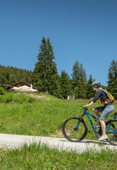 Bürgerbergalm