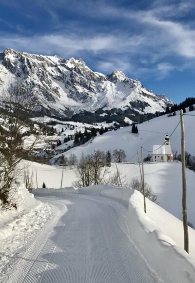 Rodelbahn Grünegg Alm Panorama
