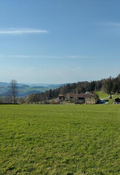 Tolles Panorama und erster Blick auf den Lamahof