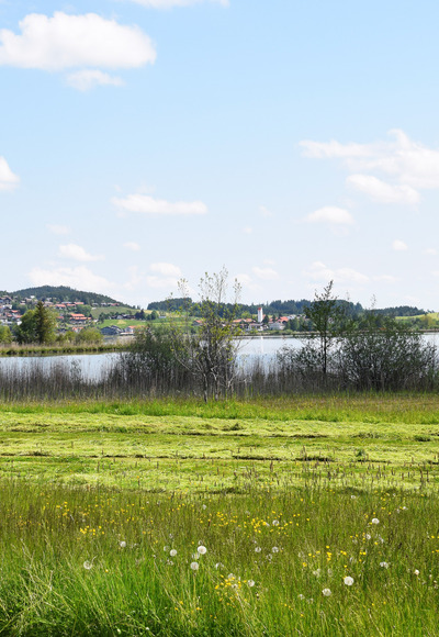 Blick auf Hopfen am See