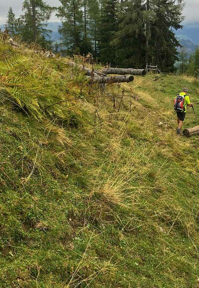 Dorfgasteiner Almenrunde.