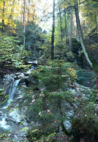 An der Kaltwasserlaine geht es wildromantisch hinauf