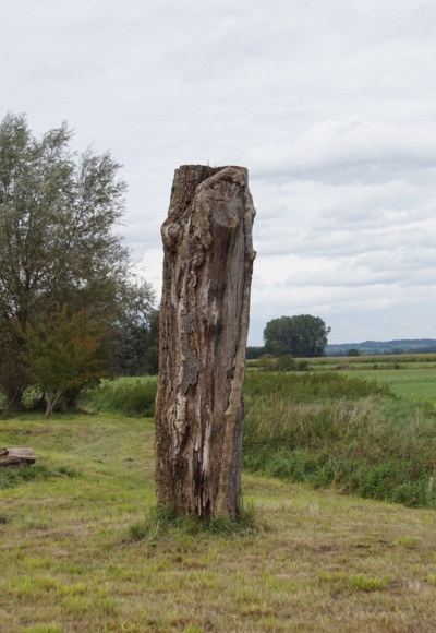 Totholzbiotop Eichenkofen