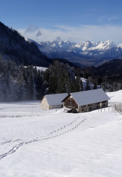 Dörflmoaralm im Nationalpark Kalkalpen