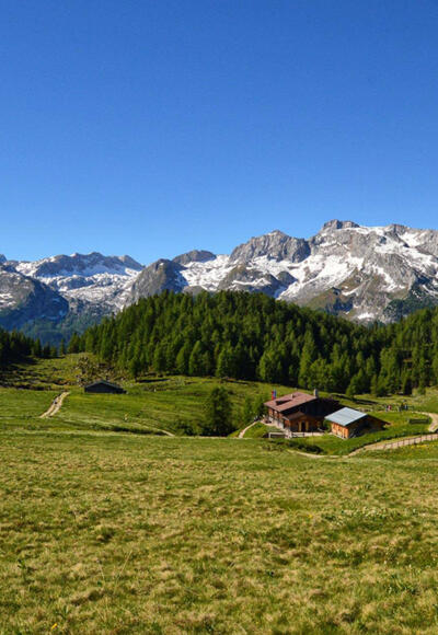 Blick über die Gotzenalm zum Funtenseetauern