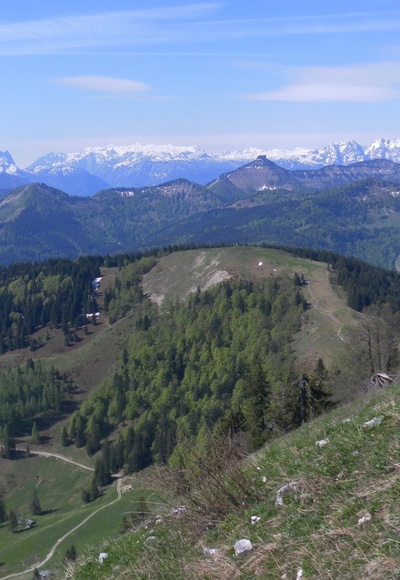 Loibersbacher Höhe vom Faistenauer Schafberg