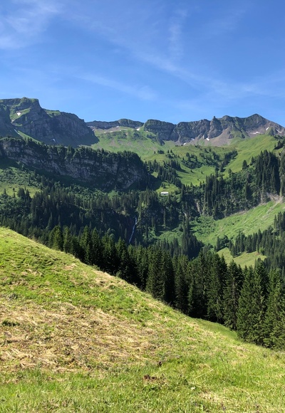 Kurz vor der Hintersuttisalpe mit Blick auf die Sünser Spitze