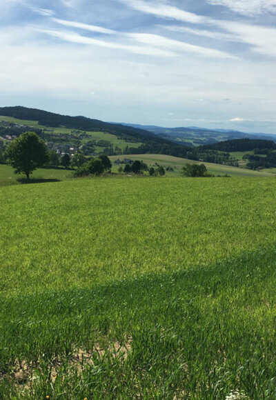 Landschaft-bei-Windhaag---Ober%c3%b6sterreich-Tourismus-GmbH---Ulrike-Preinfalk_NEU