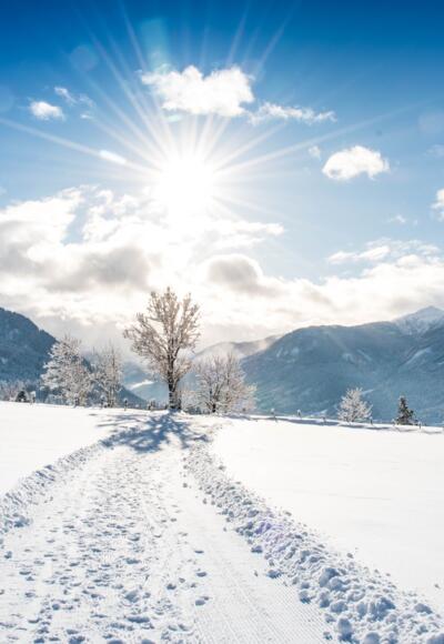 Blick auf den Lackenkogel und das Skigebiet