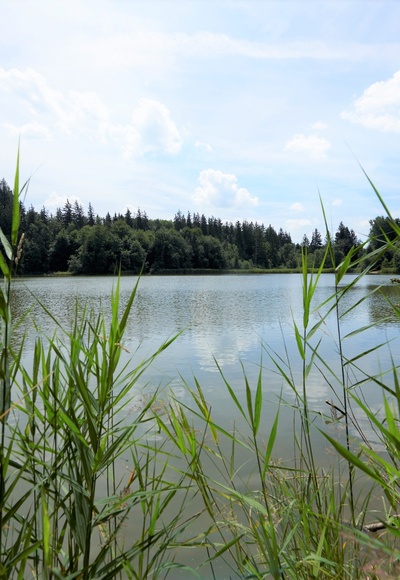 Buxheimer Weiher
