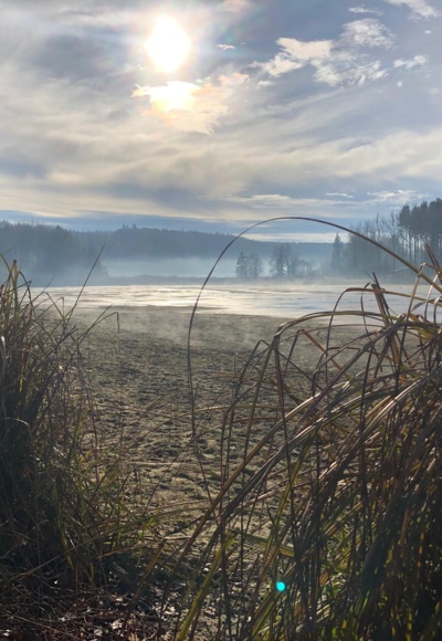 Einer der Anhauser Weiher im Winter