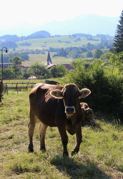 Pfronten Kappel
