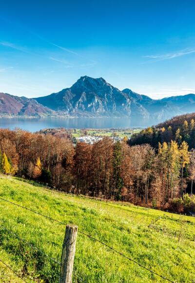 Ausblick
