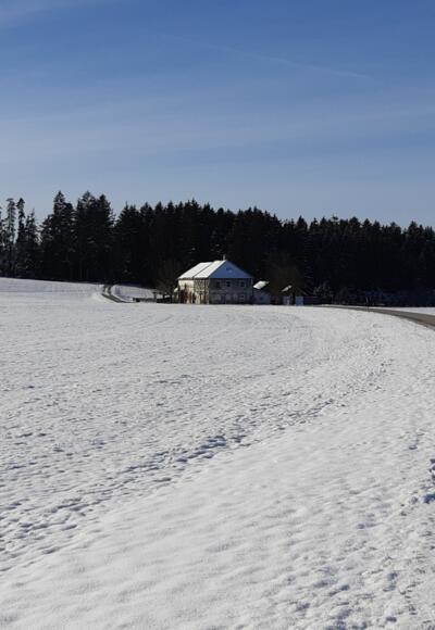 Straße von Apfoltern nach Labach