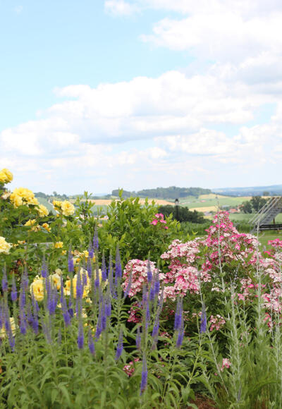 Ausblick auf der Tour