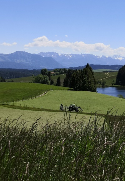 Eschacher Weiher