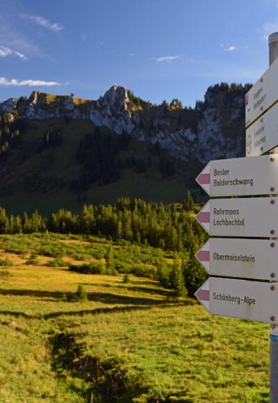 Wegweiser - Rohrmoos