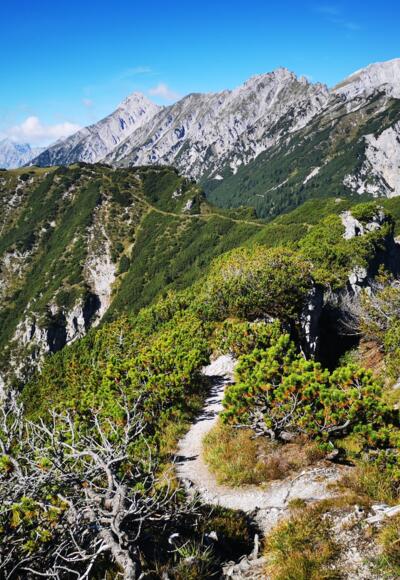 Der Grat zwischen Haller und Thaurer Zunterkopf