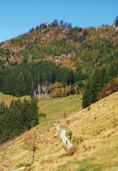 Karren - Staufenspitze