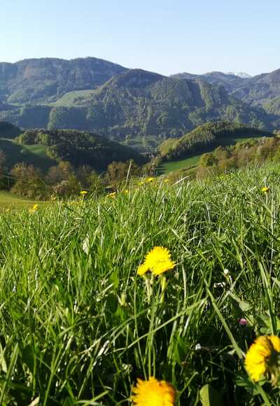 Ausblick in die Nationalparkregion