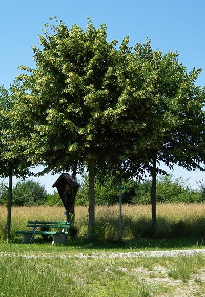 Marterl bei Bergham