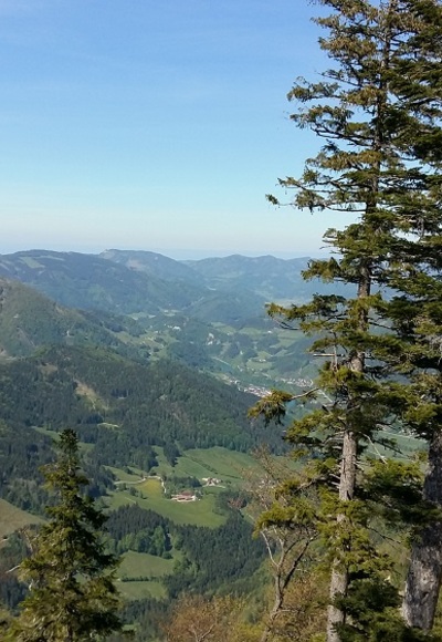 Kühberg - Ausblick