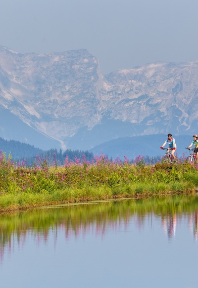 MTB Daarmoossee