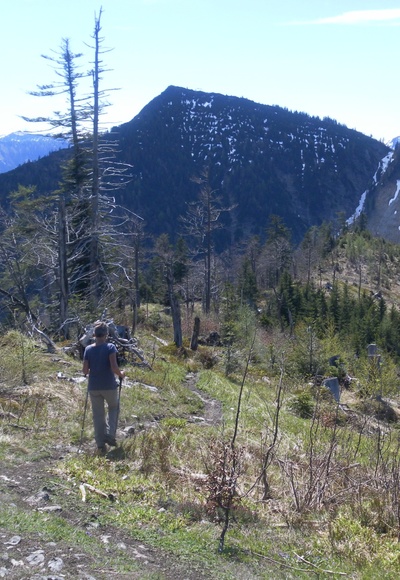 Wieserhörndl hinter Kallersberg