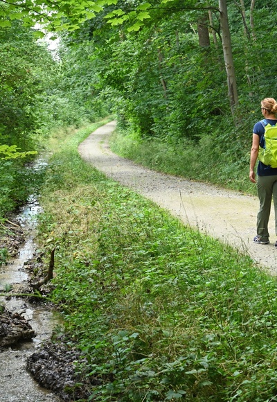Waldweg zum Klosterareal Fürstenfeld