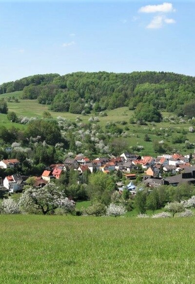 Blick auf Heimbuchenthal