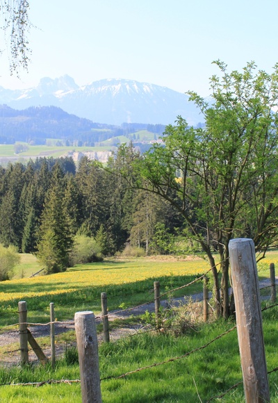Seeg - Wandern mit Aussicht