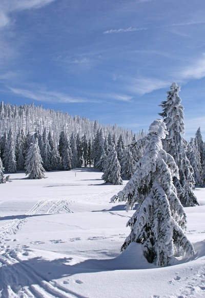 Rachelwiese mit Großen Rachel