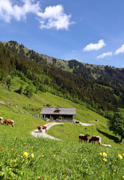 Aigenalm-Paulhütte, 1.280 m