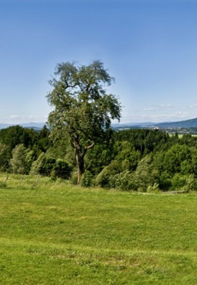 Panoramablick Freinberg