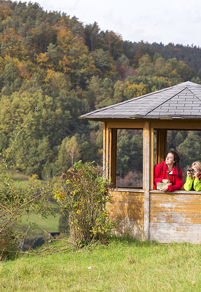 Ausblick am Panoramaweg Heimbuchenthal